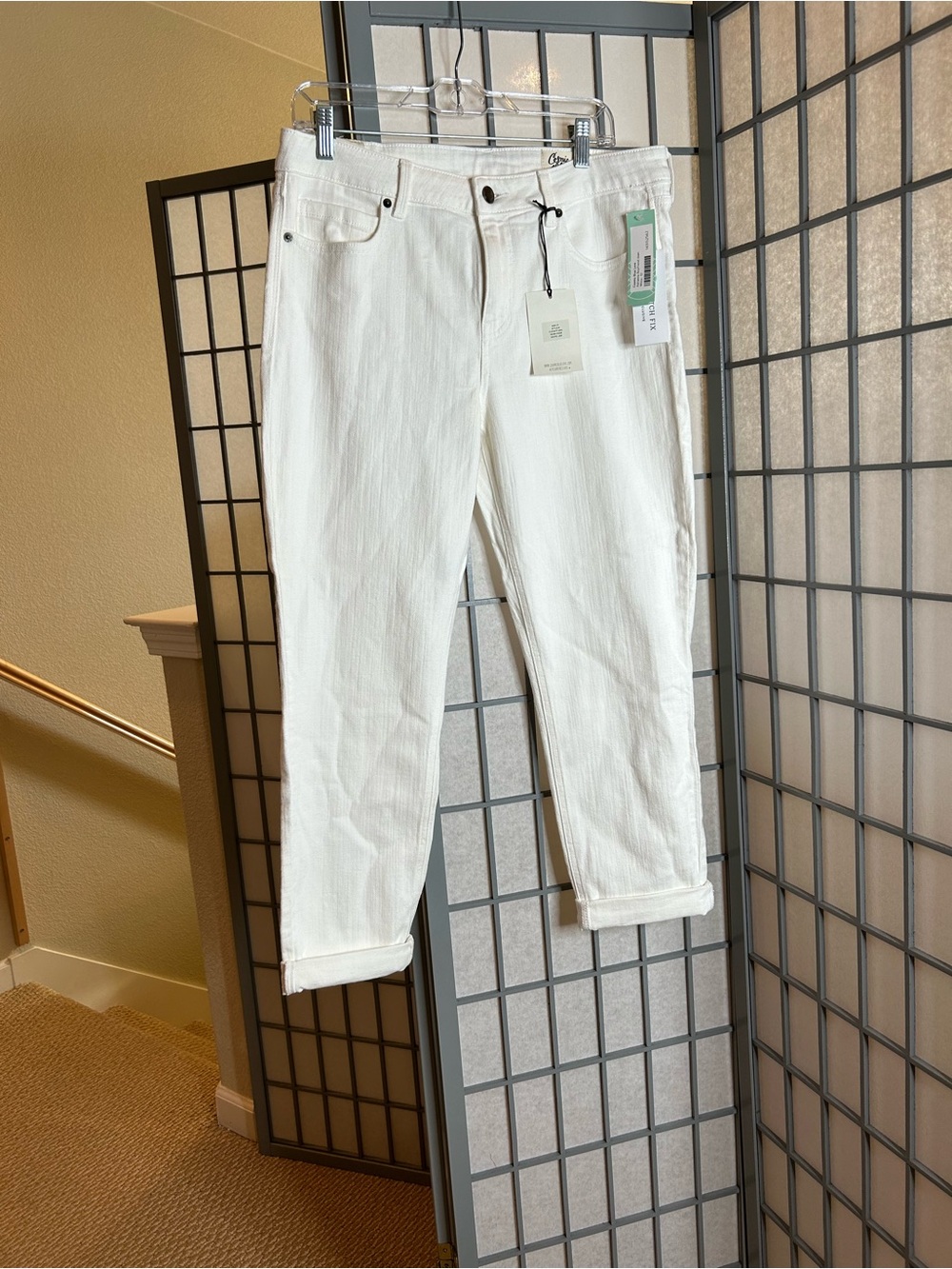 NWT StitchFix Cosmic Blue Love White Boyfriend Jeans